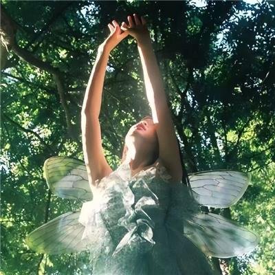 与狼共谋