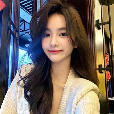 科搜研之女第24季